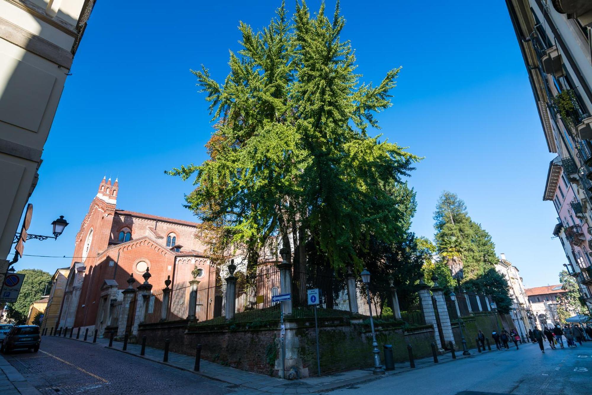 Residenza Corso Palladio 159 Виченца Экстерьер фото